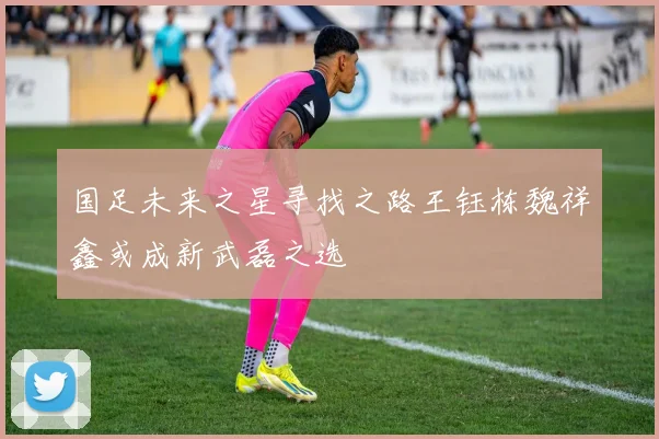 国足未来之星寻找之路王钰栋魏祥鑫或成新武磊之选