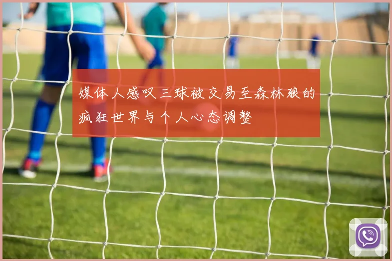 媒体人感叹三球被交易至森林狼的疯狂世界与个人心态调整