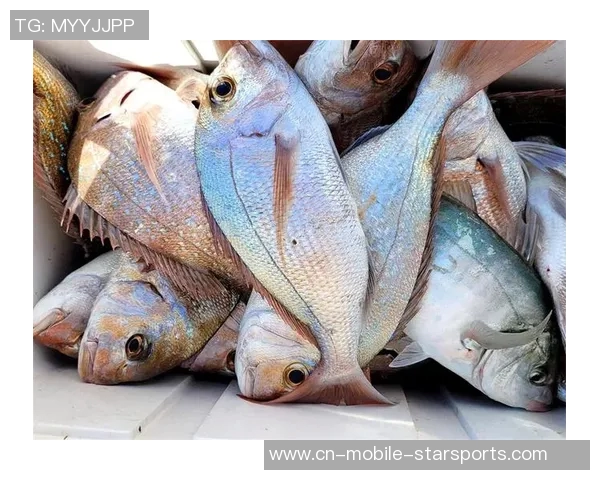 拉什福德分享海钓乐趣笑容灿烂展现多彩业余生活 拉什福德分享海钓乐趣笑容灿烂展现多彩业余生活