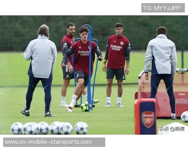 阿森纳与纽卡工作人员冲突现场惊现干草叉引发热议