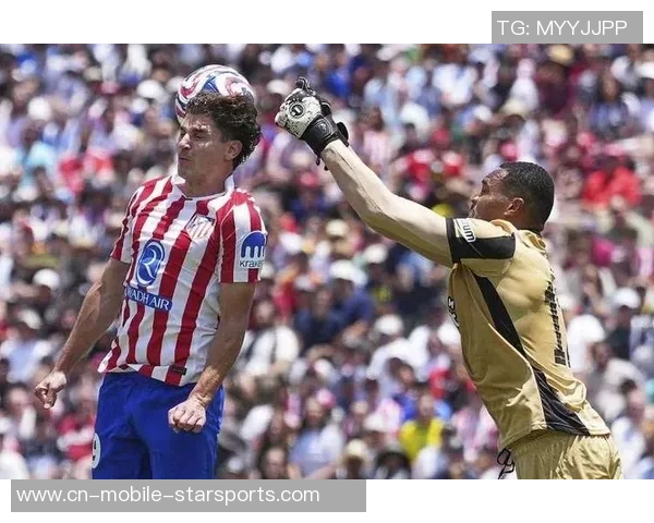 埃弗顿冬季转会瞄准博塔弗戈右后卫维蒂尼奥加强阵容 埃弗顿冬季转会瞄准博塔弗戈右后卫维蒂尼奥加强阵容